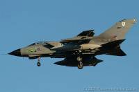 Filename=ZE116_X_Tornado_GR4_RAF.jpg
Filesize=29KB
Dimensions=800x534
Date added=Dec 16, 2006 ZE116_X_Tornado_GR4_RAF.jpg
