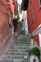 IMG_1358.JPG