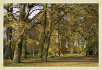 IMG_0015_1024.jpg